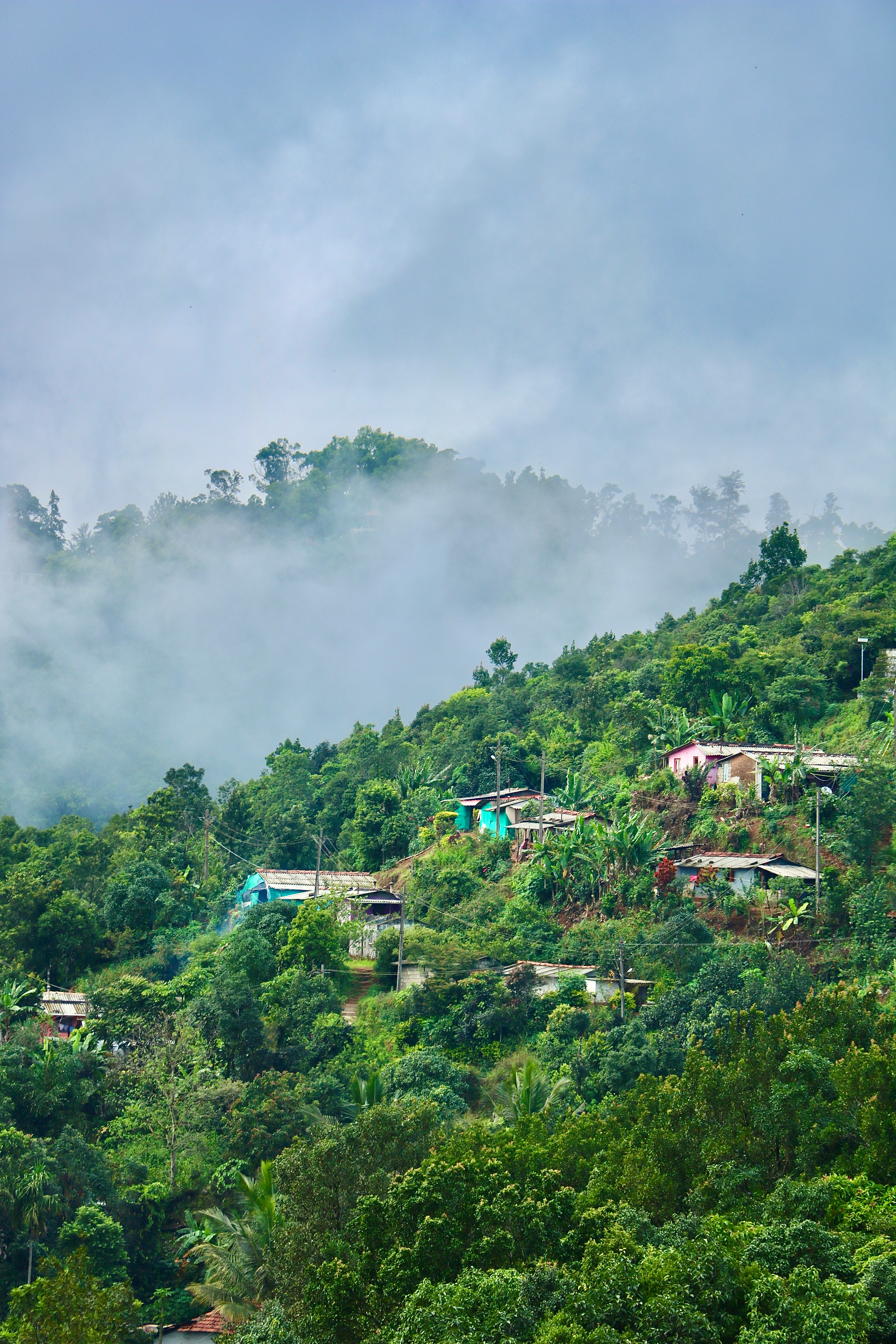 Coorg